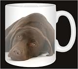 CHOCOLATE LABRADOR DOG Coffee Mug