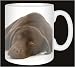 Kitchen & Housewares : CHOCOLATE LABRADOR DOG Coffee Mug