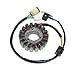 ElectroSport ESG950 Stator Yamaha YFM660 Raptor