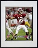 Brodie Croyle 