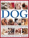 How to Look After Your Dog: An Expert Practical Guide to Dog Care, Grooming, Feeding and First Aid