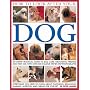 How to Look After Your Dog: An Expert Practical Guide to Dog Care, Grooming, Feeding and First Aid