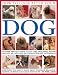 How to Look After Your Dog: An Expert Practical Guide to Dog Care, Grooming, Feeding and First Aid