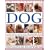 How to Look After Your Dog: An Expert Practical Guide to Dog Care, Grooming, Feeding and First Aid