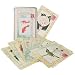Cavallini Carte Postale Natural History Fauna, Flora set of 18 (9 designs) cards in Keepsake tin