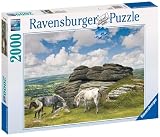 Ravensburger Horses in Dartmoor National Park - 2000 Piece Puzzle