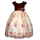 Girls Rich Burgundy Satin Flower Girl Dress with Embroidery (Size 2 - 12) NEW