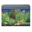 SeaClear Eclipse 3 Compatible Aquarium Color:Black