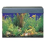 SeaClear Eclipse 3 Compatible Aquarium