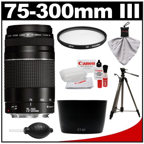 Canon EF 75300mm f/45.6 III Zoom Lens with Hoya UV Filter + Hood
