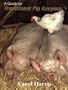 A Guide to Traditional Pig Keeping