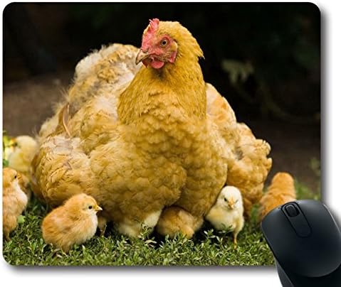Custom Unique Mouse Pad with Chicken Chicks Walk Cubs Bird Non-Slip Neoprene Rubber Standard Size 9 Inch(220mm) X 7 Inch(180mm) X 1/8 Inch(3mm) Desktop Mousepad Laptop Mousepads Comfortable Computer Mouse Mat