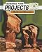 Book Rocks and Minerals (Science Fair Projects)