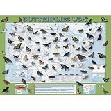 Colorful Neighbors Jigsaw Puzzle 1000pc