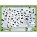 Colorful Neighbors Jigsaw Puzzle 1000pc
