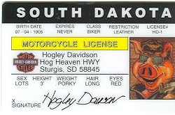 Hogley Davidson - Harley Davidson - Collector Card