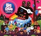Big Love: Mixed By Seamus Haji