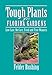 Tough Plants for Florida Gardens