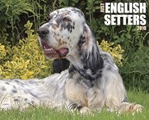Just English Setters 2010 Calendar