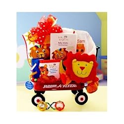 Wild Wilderness Baby Einstein Gift Basket