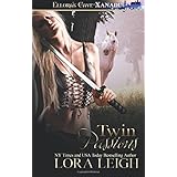 twin passions wizard twins volume 3