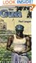 The Gun (Bluford High Series #6)