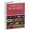 Animals in Motion (Dover Anatomy for Artists)