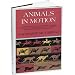 Animals in Motion