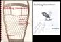 Building Snowshoes