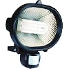 Byron Elro ES24 Energy Saving Compact Fluorescent Floodlight with PIR Motion Detector Black,24w