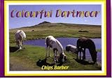 Colourful Dartmoor