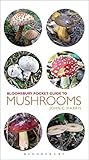 Pocket guide to mushrooms