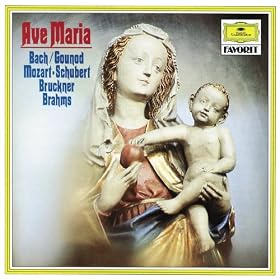 Ave Maria (Motet)