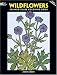 Wildflowers Stained Glass Coloring Book