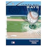 Tampa Bay Rays Team Portfolio