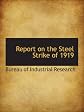 Report on the Steel Strike of 1919