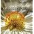 The Spirituality of Gardening