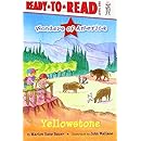 Yellowstone (Wonders of America)