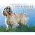 Cocker Spaniels, For the Love of 2009 Deluxe Wall Calendar