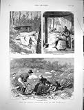 1878 Golf Mining Canada Emigrants Backwoods Men Print