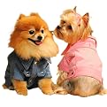 Studded Denim Pet Jacket
