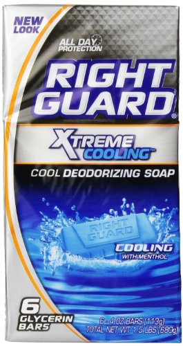 Right Guard Total Defense 5 Deodorizing Soap Cooling Bar, 6 Count, 4 Ounce Bars (Pack of 2)