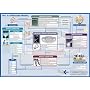 ITIL V3 Process Model [11 x 15] laminated