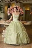 Lady Roi Bridals Gown