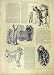 1891 Census Sketches Humour Enumerator People Cartoon