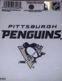 Pittsburgh Penguins Window Cling Decal