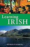 Learning Irish : an introductory self-tutor