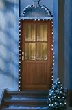 TV Das Original 6546 Solarlichterkette farbig mit 50 LEDs