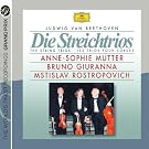 Les Trios Pour Cordes