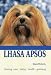Lhasa Apsos (KW)